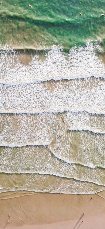 Madera, la Superficie de la Carretera, la Cubierta Vegetal, Beige, Rectángulo. Wallpaper in 1080x2340 Resolution