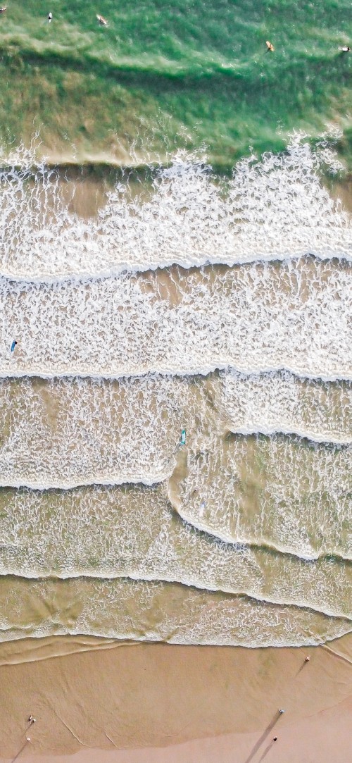 Image wall, bedrock, wood, road surface, groundcover