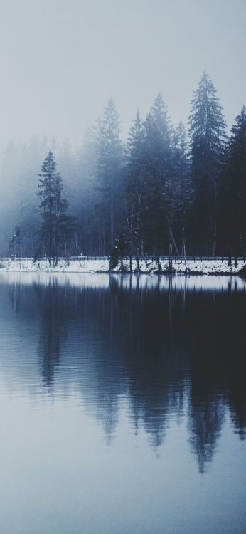 Invierno, Agua, Los Recursos de Agua, Paisaje Natural, Sucursal. Wallpaper in 1242x2688 Resolution