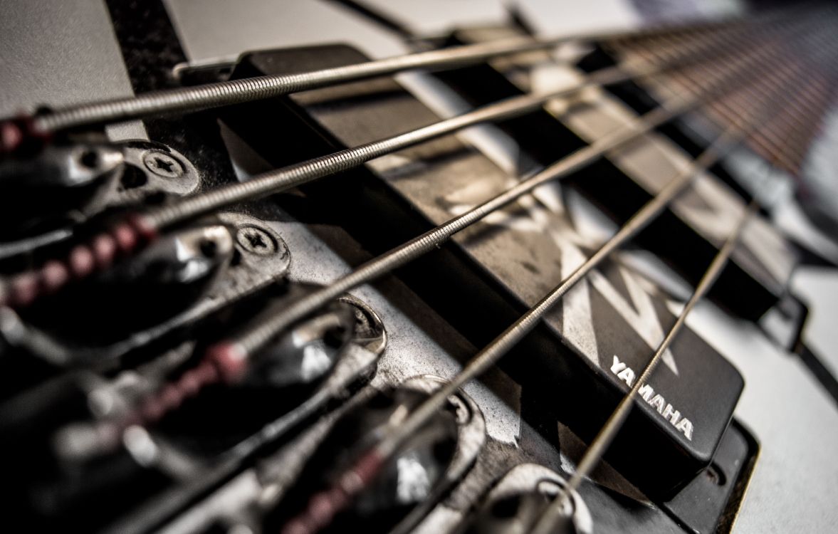 Bass, Gitarre, Gezupfte Saiteninstrumente, Musiker, Musik. Wallpaper in 4905x3125 Resolution