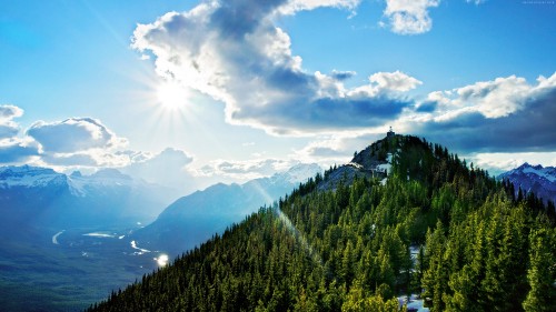 Image green pine trees on mountain under white clouds and blue sky during daytime