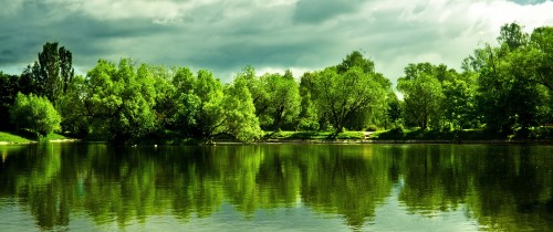 Image green trees beside river under cloudy sky during daytime