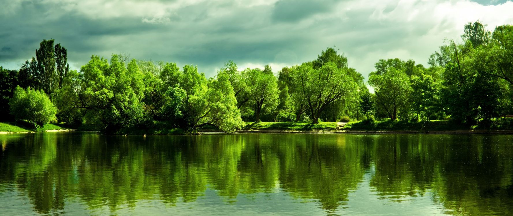 green trees beside river under cloudy sky during daytime