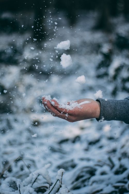 Person im Grauen Langarmhemd Mit Weißem Schnee Auf Der Hand. Wallpaper in 4000x6000 Resolution