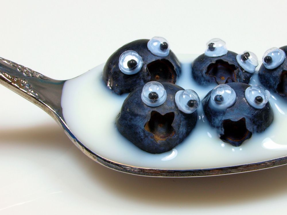 Fruits Ronds Noirs Sur Cuillère en Argent. Wallpaper in 2048x1536 Resolution