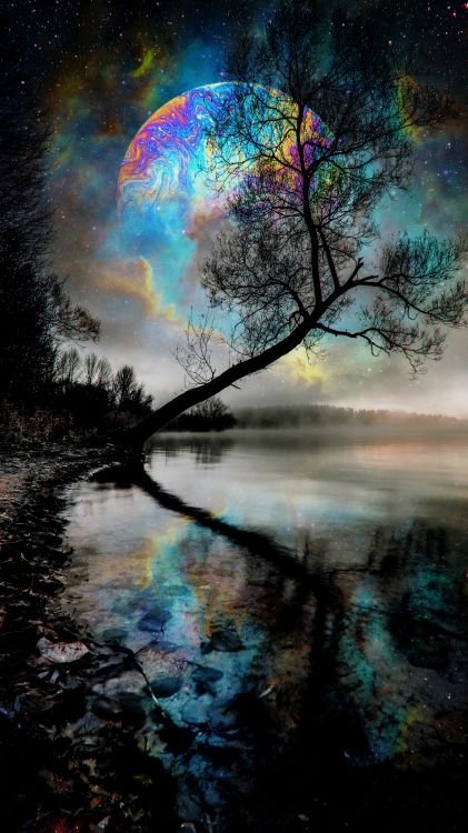 Naturaleza, Agua, Los Recursos de Agua, Ambiente, Paisaje Natural. Wallpaper in 4320x7680 Resolution