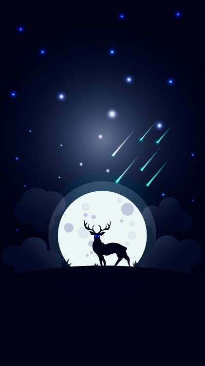 光, 艺术, 午夜 壁纸 3240x5760 允许