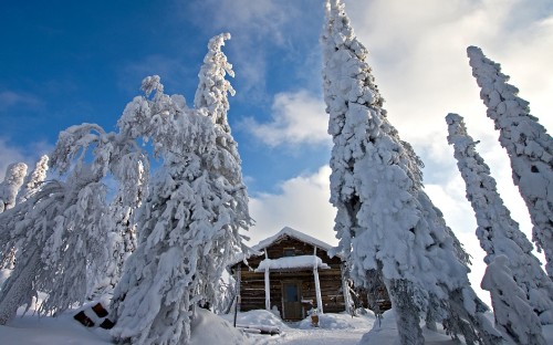 Image brown wooden house covered with snow under blue sky during daytime