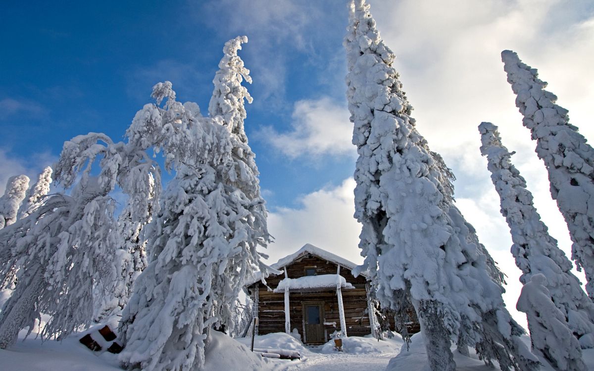 brown wooden house covered with snow under blue sky during daytime