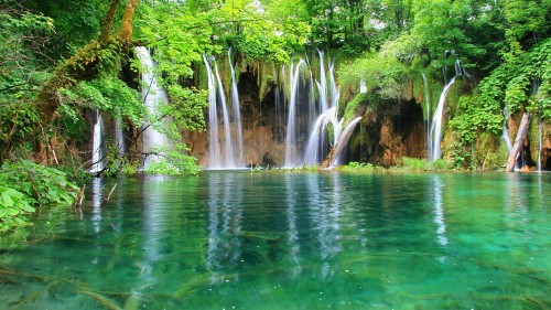 Image water falls in the middle of the forest