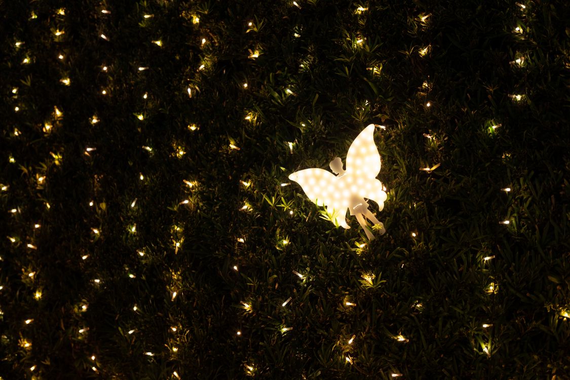 光, 空间, 天使, 黑色的, Garland 壁纸 6000x4000 允许