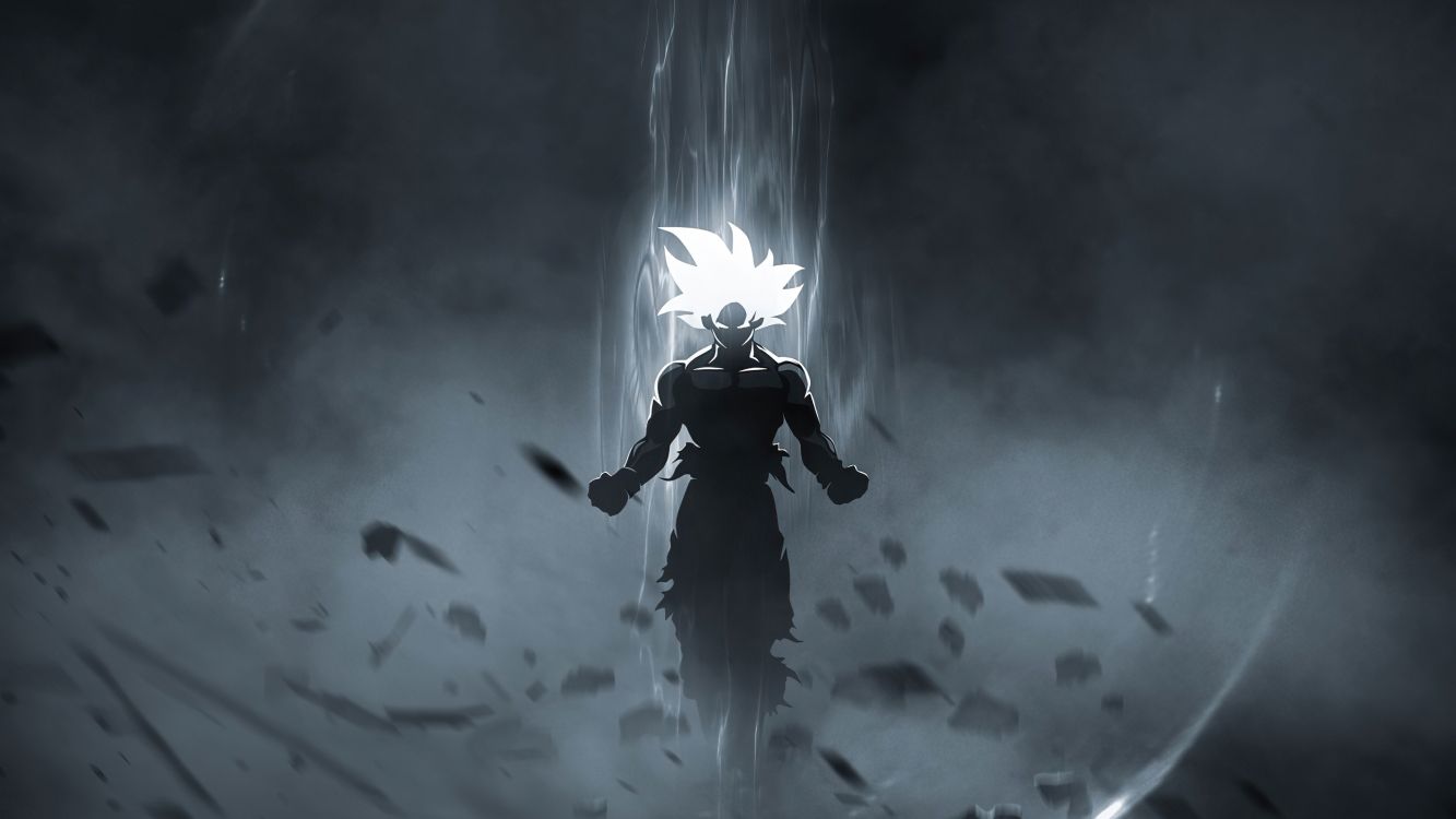 Kostenlose Hintergrundbilder Son Goku Zamasu Vegeta Son Gohan Dragonball Bilder Fur Ihren Desktop Und Fotos