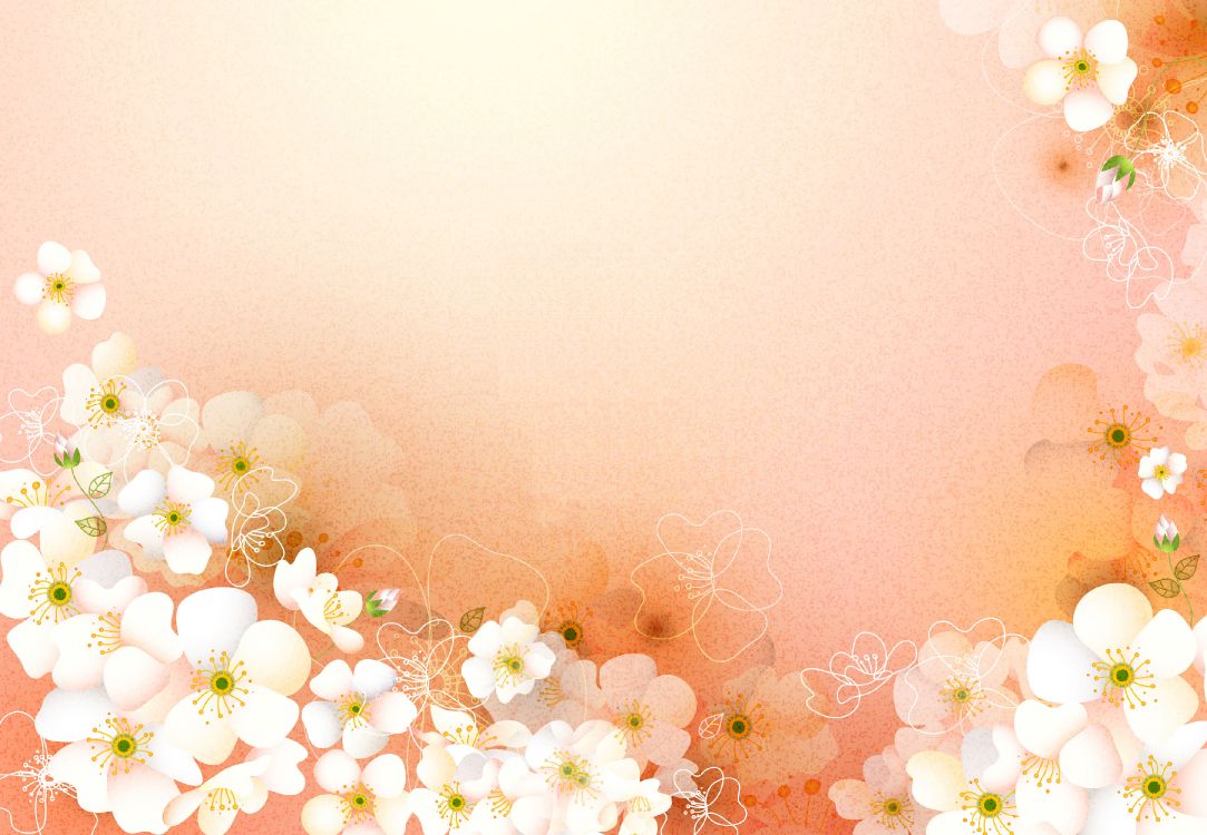Weiße Und Gelbe Blumen Mit Rosa Hintergrund. Wallpaper in 3610x2500 Resolution