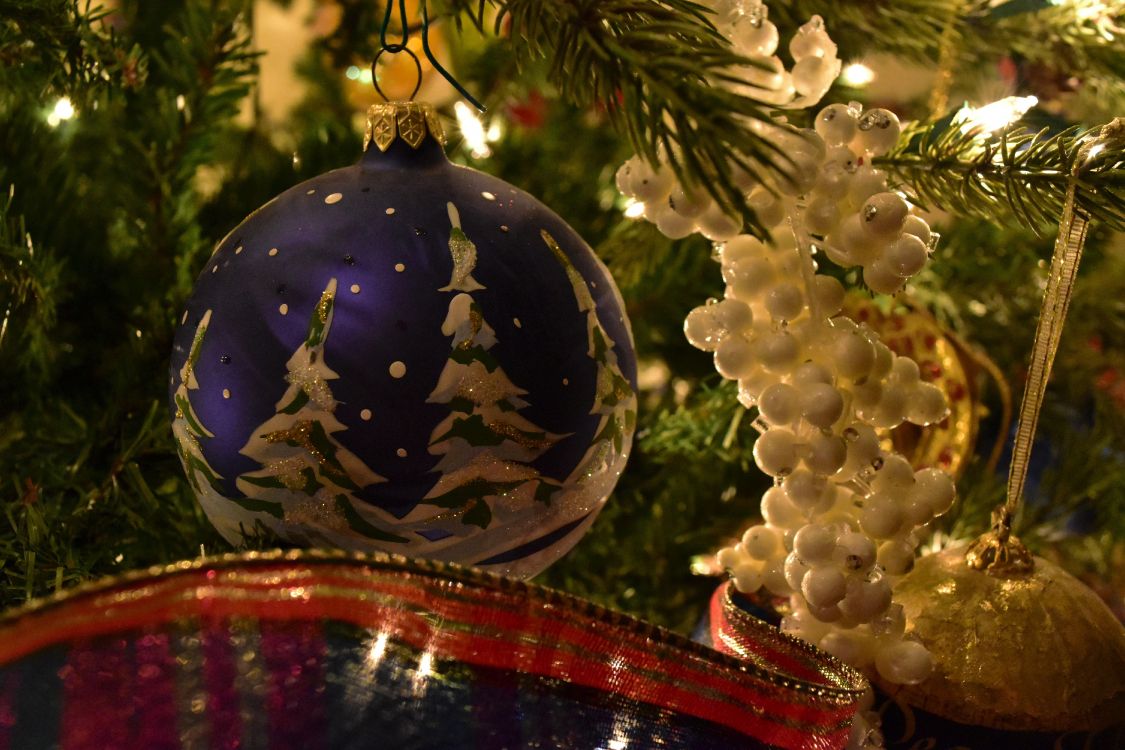 Christmas Day, New Year Tree, Christmas Tree, New Year, Christmas Ornament. Wallpaper in 6000x4000 Resolution
