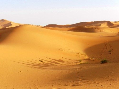 Image brown sand dunes during daytime