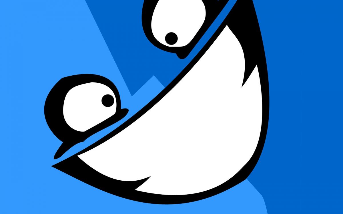 Illustration D'oiseau Bleu et Blanc. Wallpaper in 1920x1200 Resolution