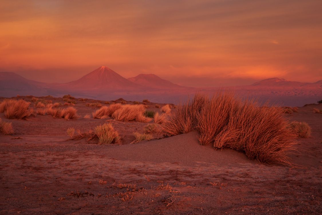 Braune Wiese in Der Nähe Des Berges Tagsüber. Wallpaper in 2048x1365 Resolution