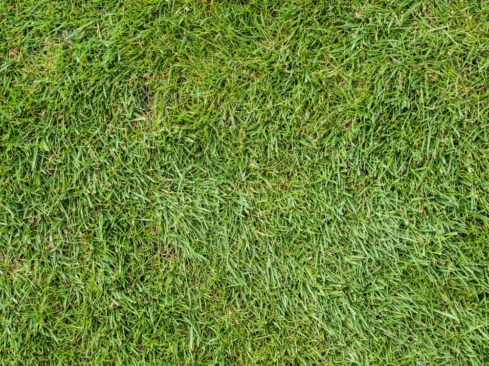 Campo de Hierba Verde Durante el Día. Wallpaper in 2048x1536 Resolution