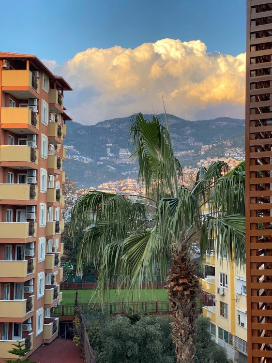 cloud, building, plant, mountain, azure