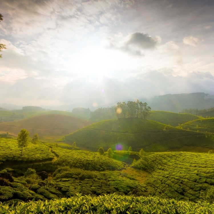 Tagsüber Grüne Wiese Unter Bewölktem Himmel. Wallpaper in 2932x2932 Resolution