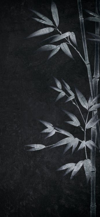 Artes Visuales, en Blanco y Negro, Arte, Sucursal, Planta Terrestre. Wallpaper in 1080x2340 Resolution