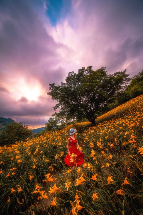 Image woman in red dress standing on yellow flower field during daytime