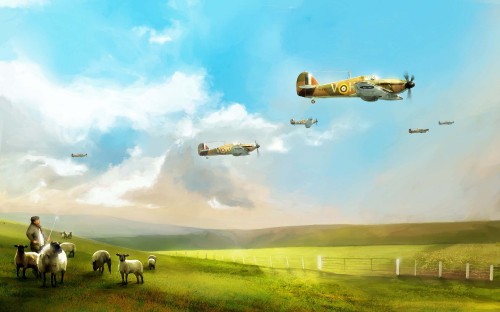 Image white and black plane flying over green grass field during daytime