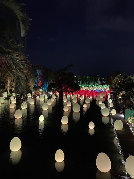 反射, 风景照, 午夜, Attalea桐 壁纸 1536x2048 允许