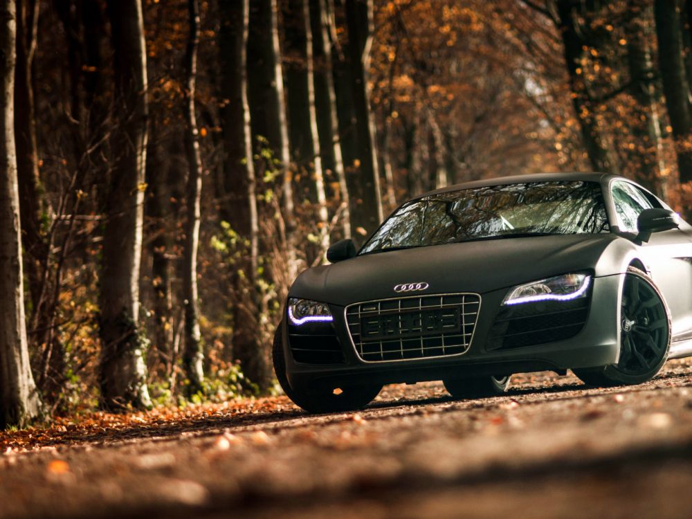 Mercedes Benz Coupe Negro en el Bosque Durante el Día. Wallpaper in 2048x1536 Resolution