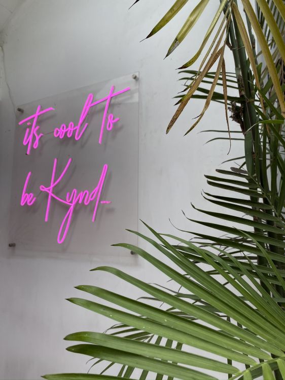 Blatt, Pflanzen-Stammzellen, Palme, Zweig, Biologie. Wallpaper in 1536x2048 Resolution