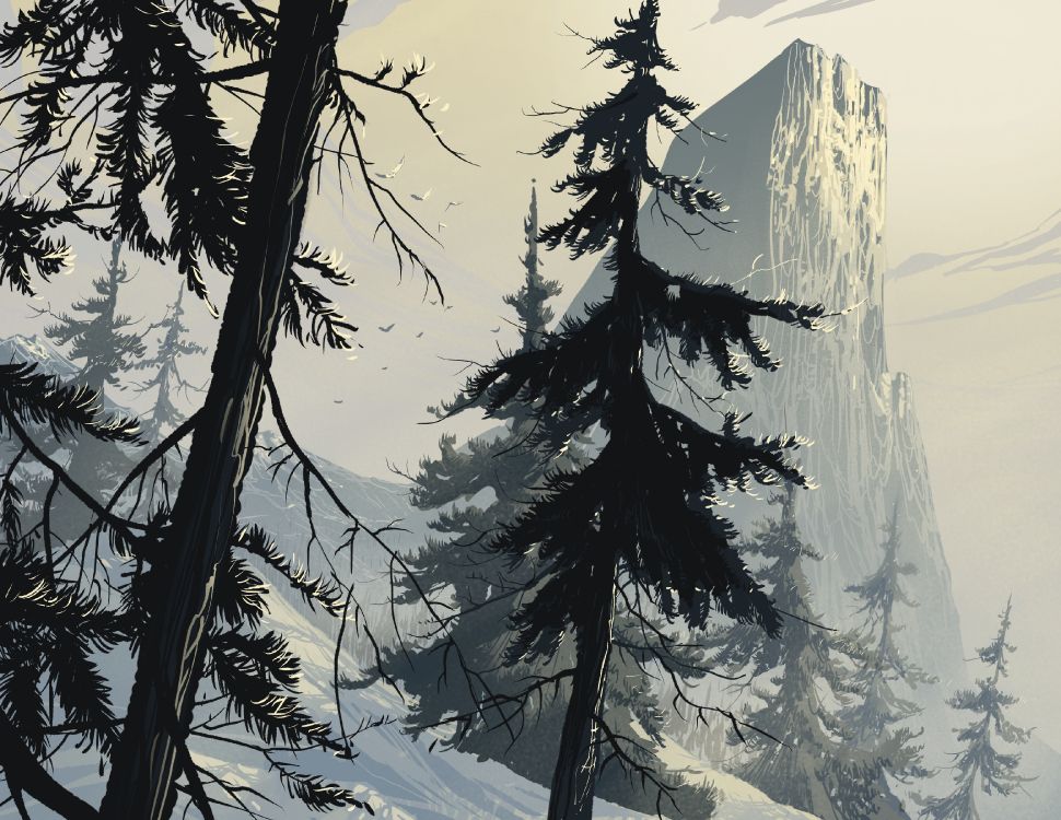 Art, Spruce, Forest, Tree, Winter. Wallpaper in 6600x5100 Resolution