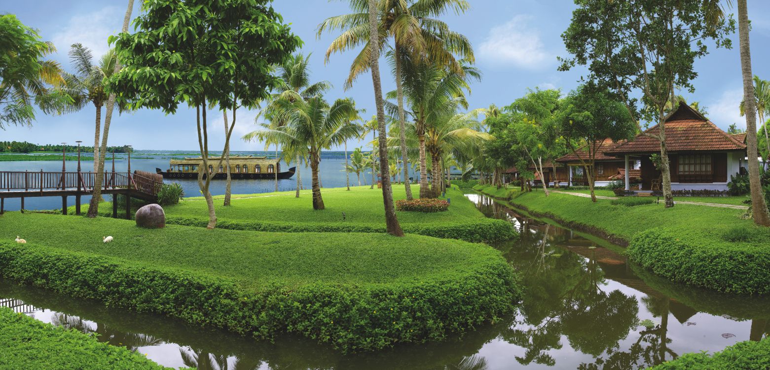 Green Palm Trees Near Body of Water During Daytime. Wallpaper in 10799x5186 Resolution