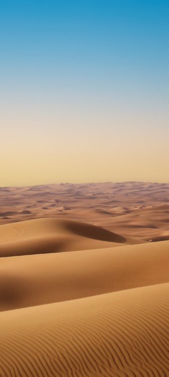 ERG, le Chant de Sable, Atmosphère, Plaine, Paysage Naturel. Wallpaper in 1171x2600 Resolution