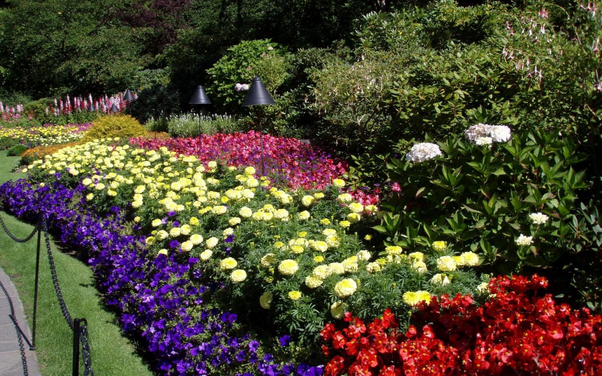 Jardin de Fleurs Violet et Jaune. Wallpaper in 2880x1800 Resolution