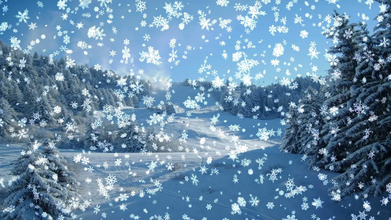 冬天, 雪花, 冻结, 天空, 动画 壁纸 2560x1440 允许