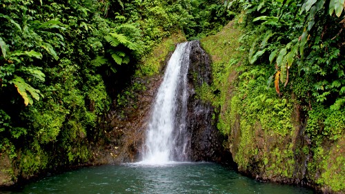 Image waterfalls in the middle of green trees