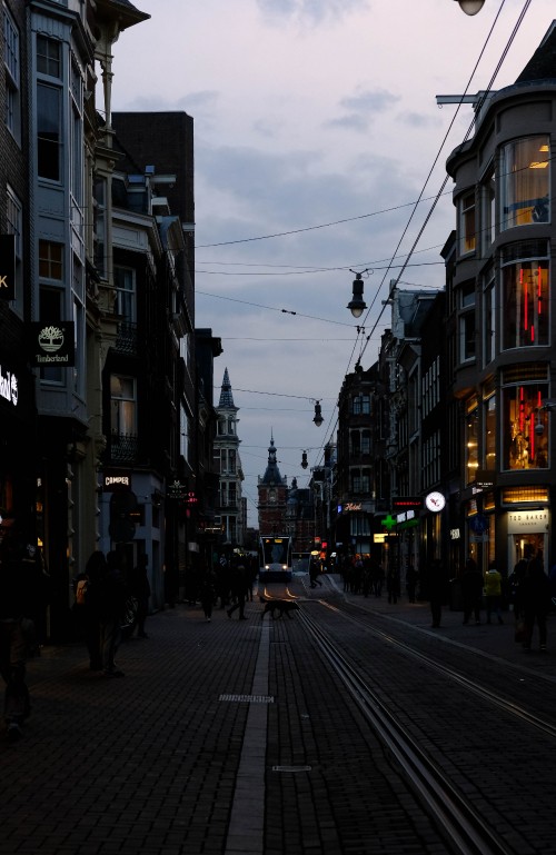 Image people walking on street during daytime