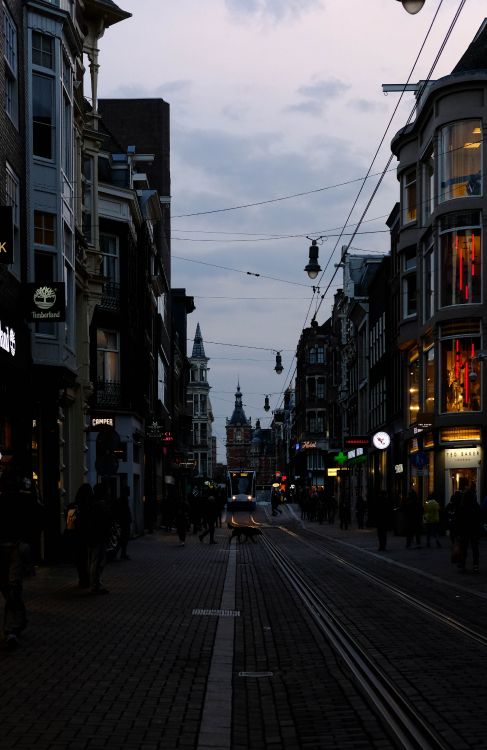 people walking on street during daytime