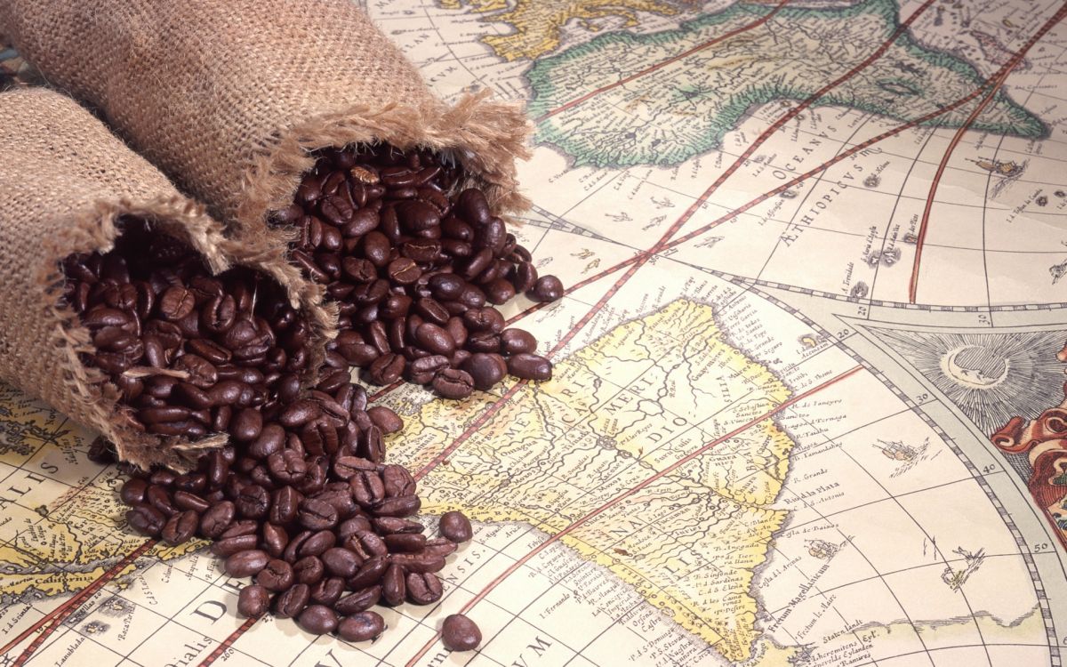 brown coffee beans on white and blue textile