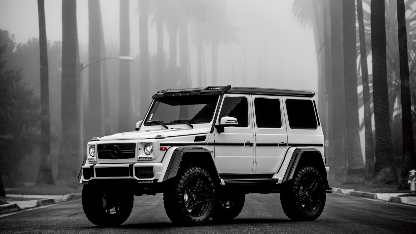 Photo en Niveaux de Gris de Jeep Wrangler. Wallpaper in 2560x1440 Resolution