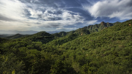 Image green trees on mountain under white clouds and blue sky during daytime
