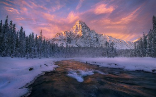 Image snow covered mountain and pine trees