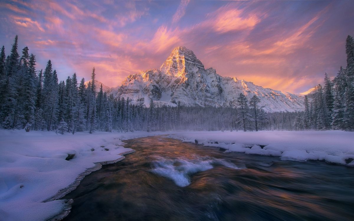 snow covered mountain and pine trees