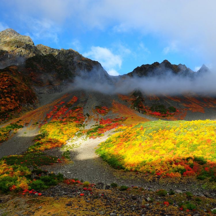 Champ D'herbe Verte et Jaune Près de la Montagne Sous un Ciel Bleu Pendant la Journée. Wallpaper in 2560x2560 Resolution