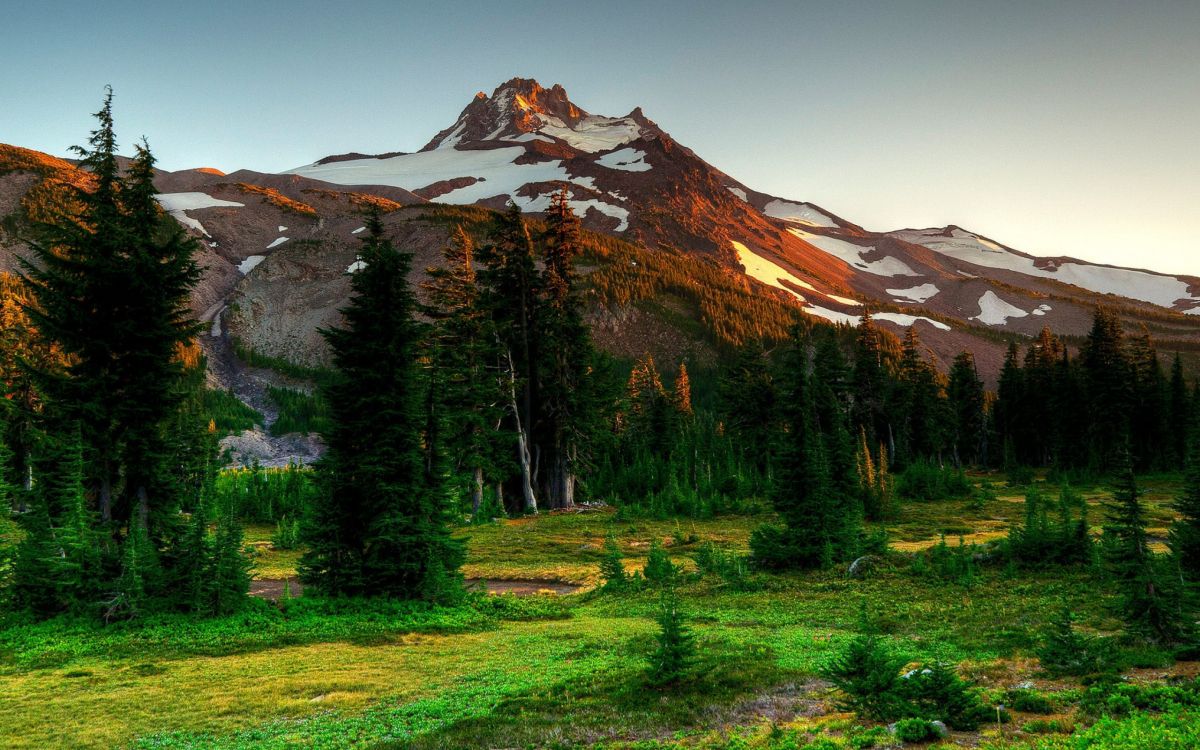 Pins Verts Près de la Montagne Brune Sous Ciel Bleu Pendant la Journée. Wallpaper in 2560x1600 Resolution