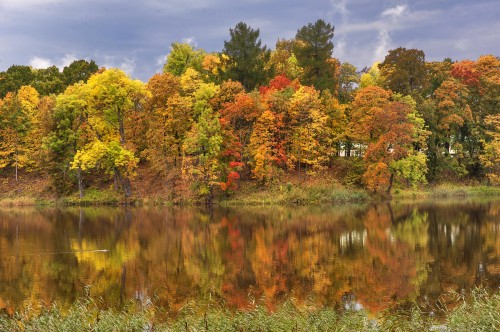 Image green and yellow trees beside lake under blue sky during daytime