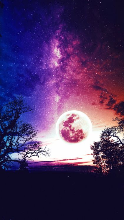 Mond, Atmosphäre, Purpur, Baum, Naturlandschaft. Wallpaper in 3240x5760 Resolution