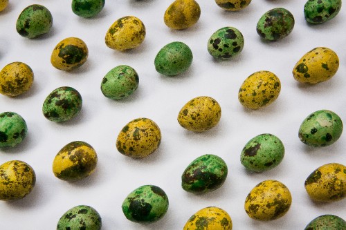 Image green and yellow round fruits