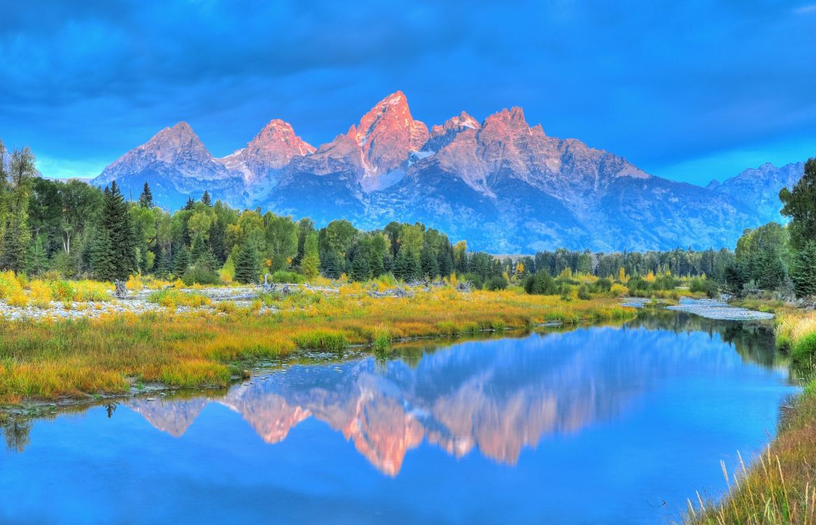 green trees near lake and mountain under blue sky during daytime