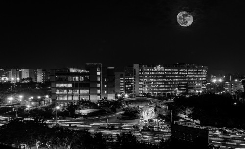 Image grayscale photo of city buildings